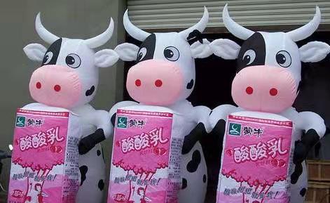 黔西南牛奶厂广告气模